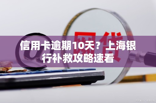 信用卡逾期10天？上海银行补救攻略速看