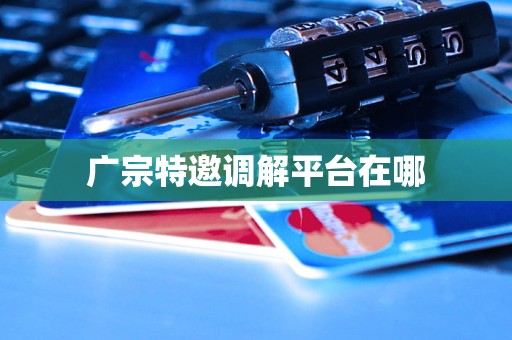 广宗特邀调解平台在哪