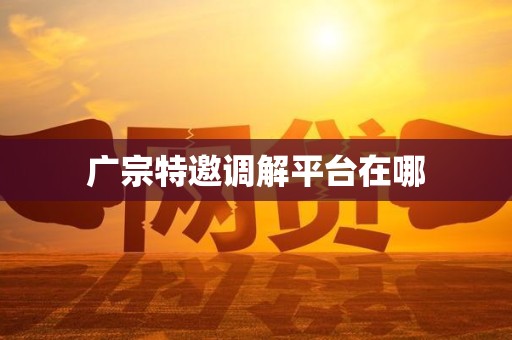 广宗特邀调解平台在哪