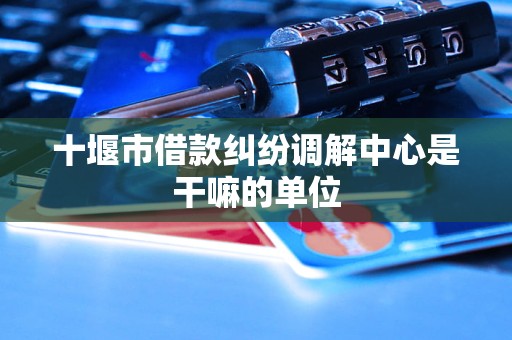 十堰市借款纠纷调解中心是干嘛的单位