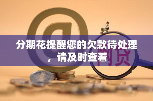 分期花提醒您的欠款待处理,请及时查看 分期花提醒您的欠款待处理,请及时查看