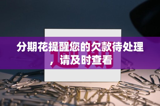 分期花提醒您的欠款待处理,请及时查看 分期花提醒您的欠款待处理,请及时查看