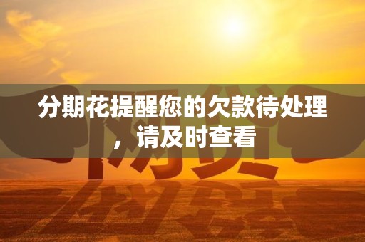 分期花提醒您的欠款待处理,请及时查看 分期花提醒您的欠款待处理,请及时查看