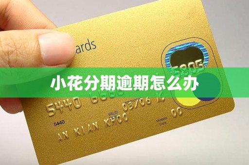 小花分期逾期怎么办 小花分期逾期怎么办