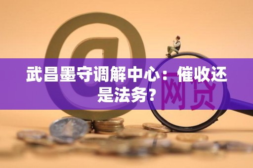 武昌墨守调解中心：催收还是法务？