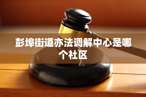 彭埠街道亦法调解中心是哪个社区