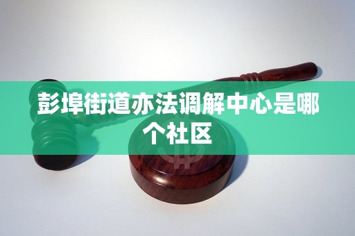 彭埠街道亦法调解中心是哪个社区