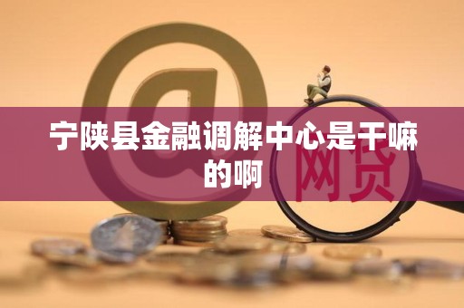 宁陕县金融调解中心是干嘛的啊