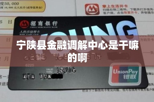 宁陕县金融调解中心是干嘛的啊