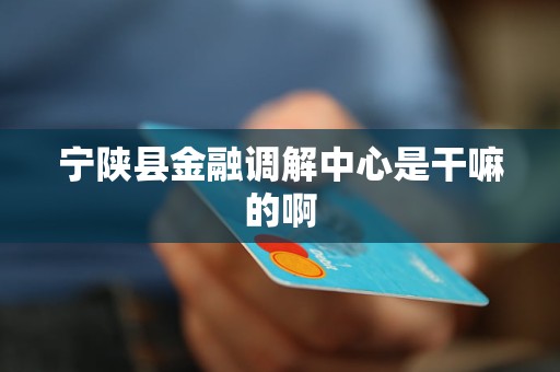 宁陕县金融调解中心是干嘛的啊