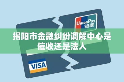 揭阳市金融纠纷调解中心是催收还是法人