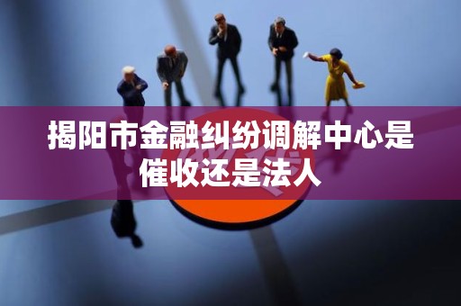 揭阳市金融纠纷调解中心是催收还是法人