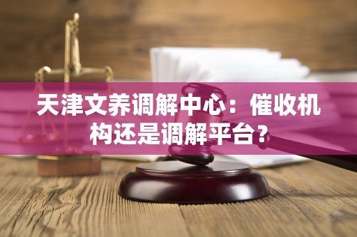 天津文养调解中心：催收机构还是调解平台？