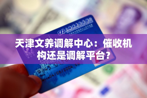 天津文养调解中心：催收机构还是调解平台？