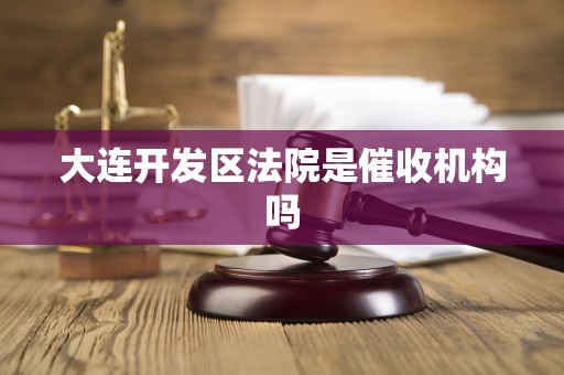 大连开发区法院是催收机构吗 大连开发区法院是催收机构吗