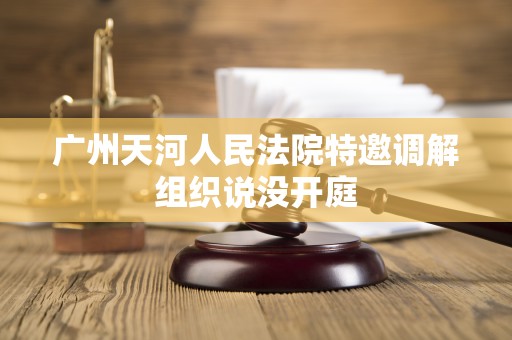广州天河人民法院特邀调解组织说没开庭