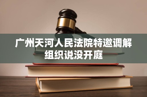 广州天河人民法院特邀调解组织说没开庭