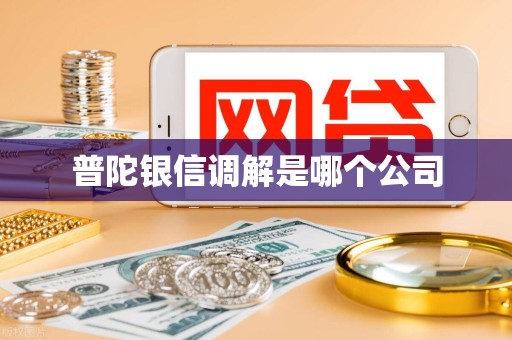 普陀银信调解是哪个公司