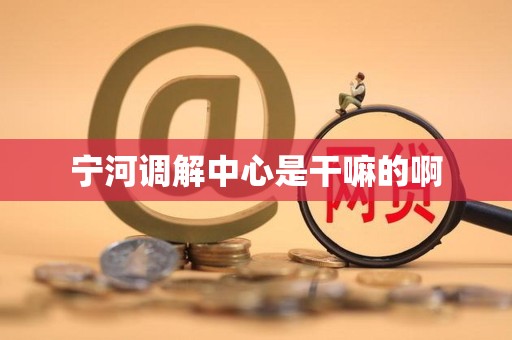 宁河调解中心是干嘛的啊