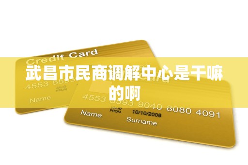 武昌市民商调解中心是干嘛的啊