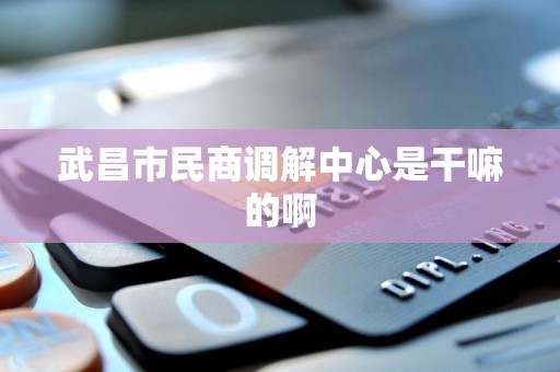 武昌市民商调解中心是干嘛的啊