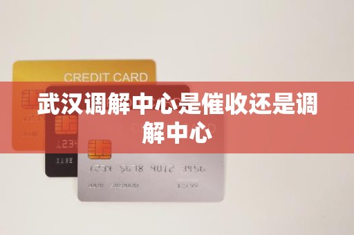 武汉调解中心是催收还是调解中心