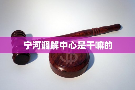 宁河调解中心是干嘛的 宁河调解中心是干嘛的