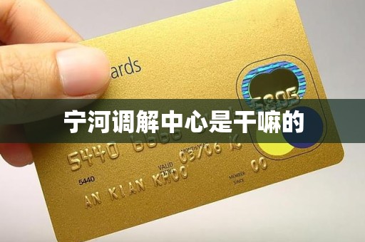 宁河调解中心是干嘛的 宁河调解中心是干嘛的