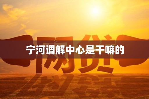 宁河调解中心是干嘛的 宁河调解中心是干嘛的