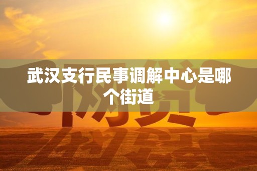 武汉支行民事调解中心是哪个街道