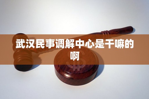 武汉民事调解中心是干嘛的啊