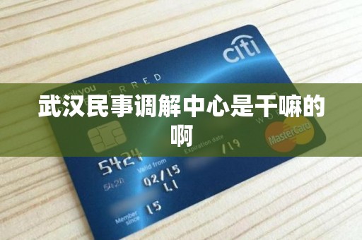 武汉民事调解中心是干嘛的啊