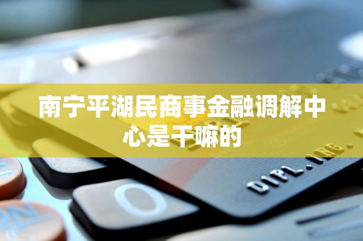 南宁平湖民商事金融调解中心是干嘛的