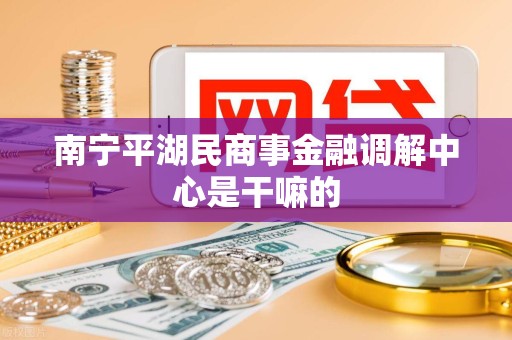 南宁平湖民商事金融调解中心是干嘛的