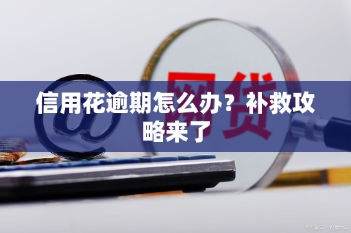 信用花逾期怎么办？补救攻略来了