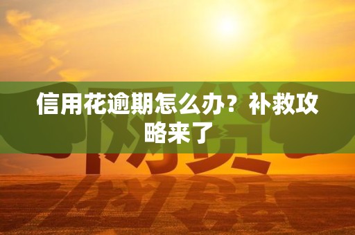 信用花逾期怎么办？补救攻略来了