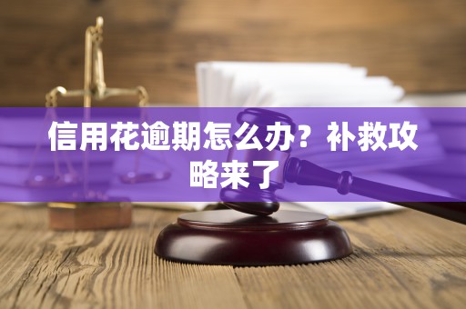 信用花逾期怎么办？补救攻略来了