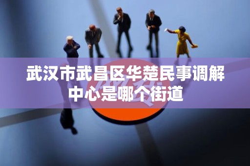 武汉市武昌区华楚民事调解中心是哪个街道
