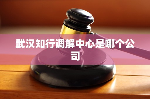 武汉知行调解中心是哪个公司 武汉知行调解中心是哪个公司