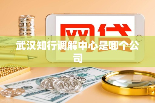 武汉知行调解中心是哪个公司 武汉知行调解中心是哪个公司