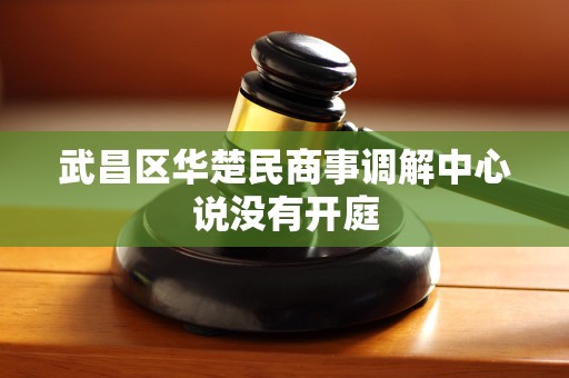 武昌区华楚民商事调解中心说没有开庭