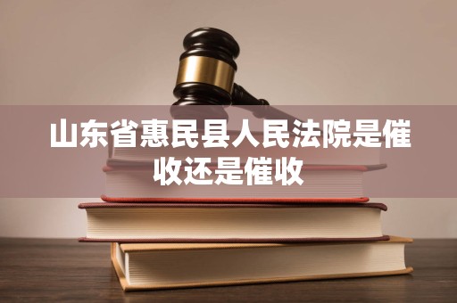 山东省惠民县人民法院是催收还是催收 山东省惠民县人民法院是催收还是催收