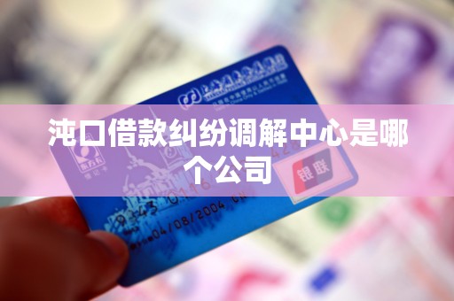 沌口借款纠纷调解中心是哪个公司 沌口借款纠纷调解中心是哪个公司
