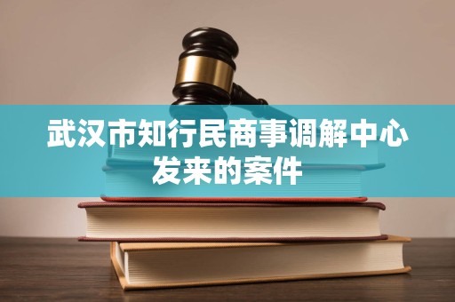 武汉市知行民商事调解中心发来的案件 武汉市知行民商事调解中心发来的案件