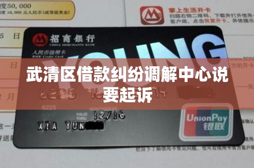 武清区借款纠纷调解中心说要起诉 武清区借款纠纷调解中心说要起诉