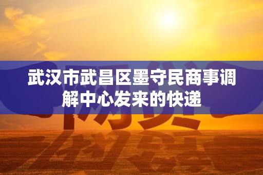 武汉市武昌区墨守民商事调解中心发来的快递 武汉市武昌区墨守民商事调解中心发来的快递