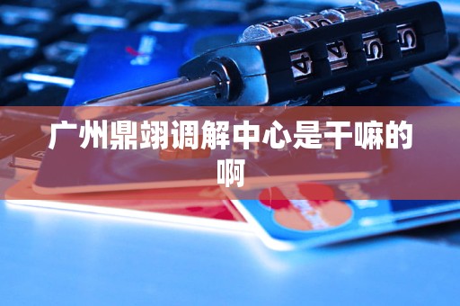 广州鼎翊调解中心是干嘛的啊