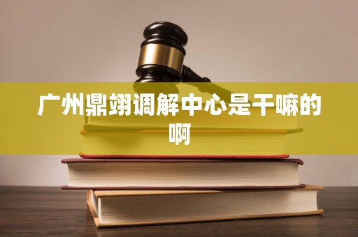 广州鼎翊调解中心是干嘛的啊