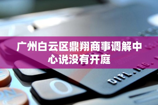 广州白云区鼎翔商事调解中心说没有开庭
