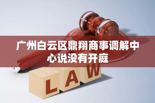 广州白云区鼎翔商事调解中心说没有开庭